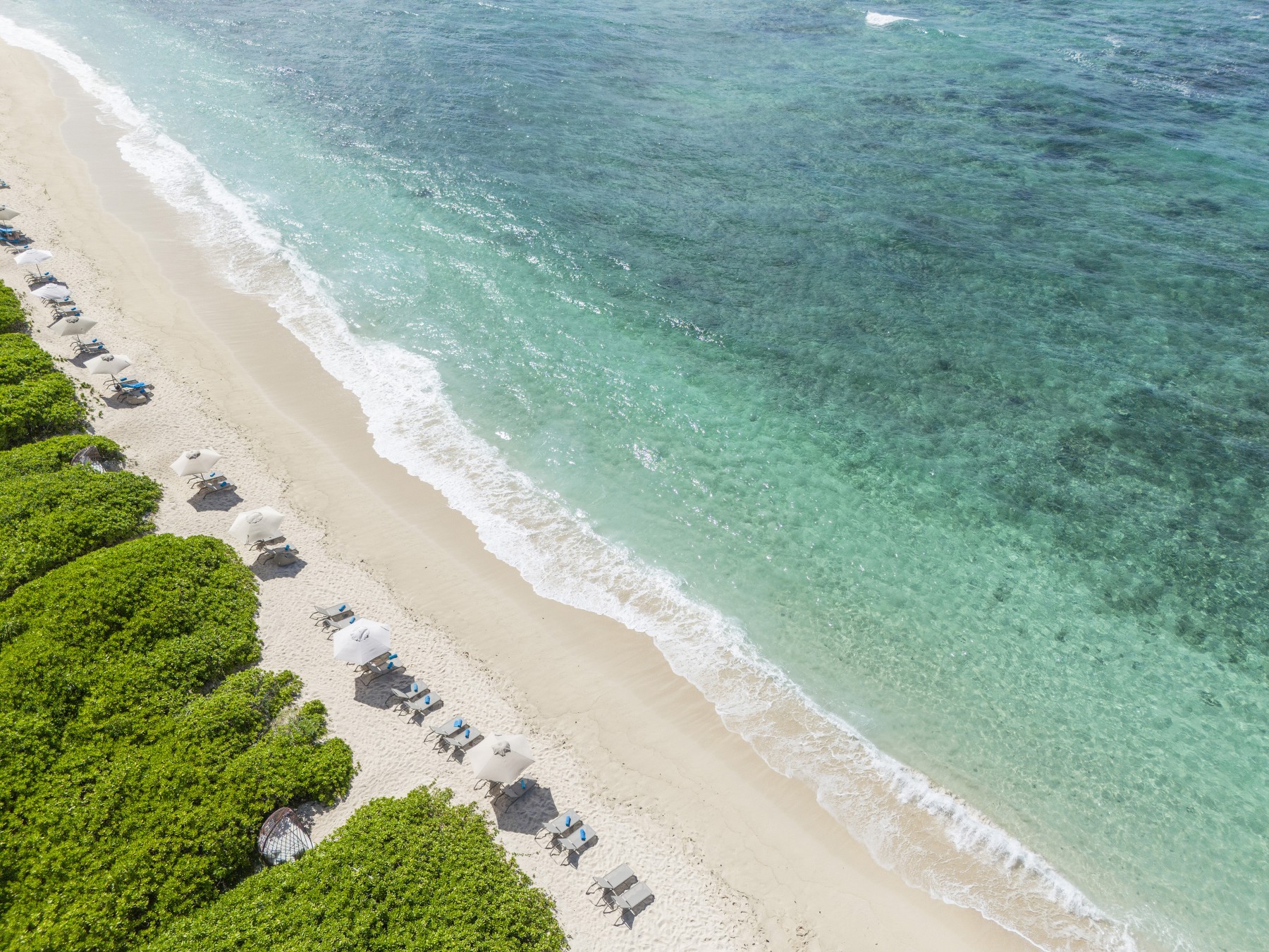 Constance Le Challand